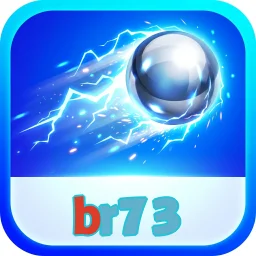 br73