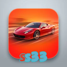 ss33